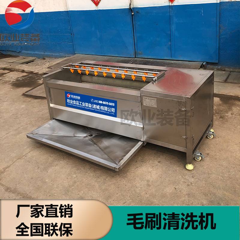 不锈钢毛混清洗机 猪蹄毛刷清洗机 猪头羊头去皮黑污毛辊清洗设备