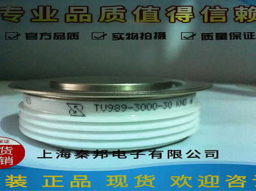 [TV918-1670-22][TV989-2860-22]进口ABB晶闸管