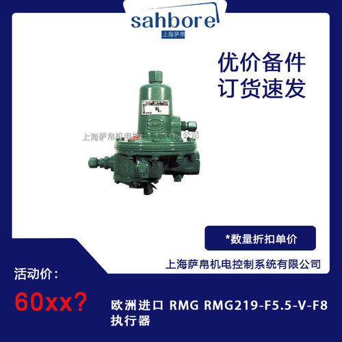 欧洲进口 RMG RMG219-F5.5-V-F8 执行器