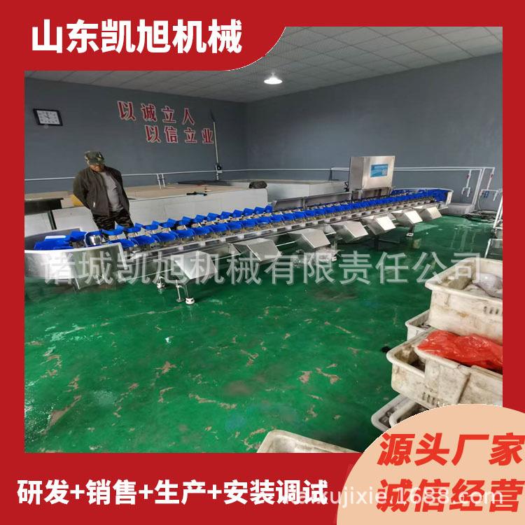 鲈鱼全自动称分级源分选机重黄花鱼鲅鱼自动量BLD分拣机头直重供
