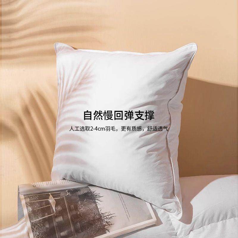 靠垫大内抱枕羽毛胆靠背腰枕枕头酒店软靠垫床类腰垫靠床沙靠发抱,居家布艺,抱枕被,淘宝优惠券,粉丝福利购,淘宝优惠卷