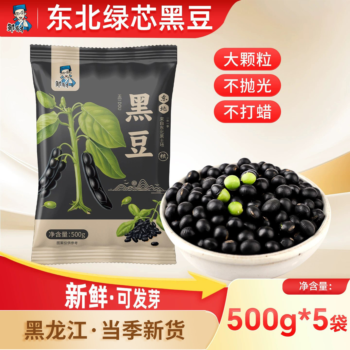 东北绿心黑豆 新货黄仁打豆浆专用五谷杂粮农家黑豆青仁绿芯尝鲜