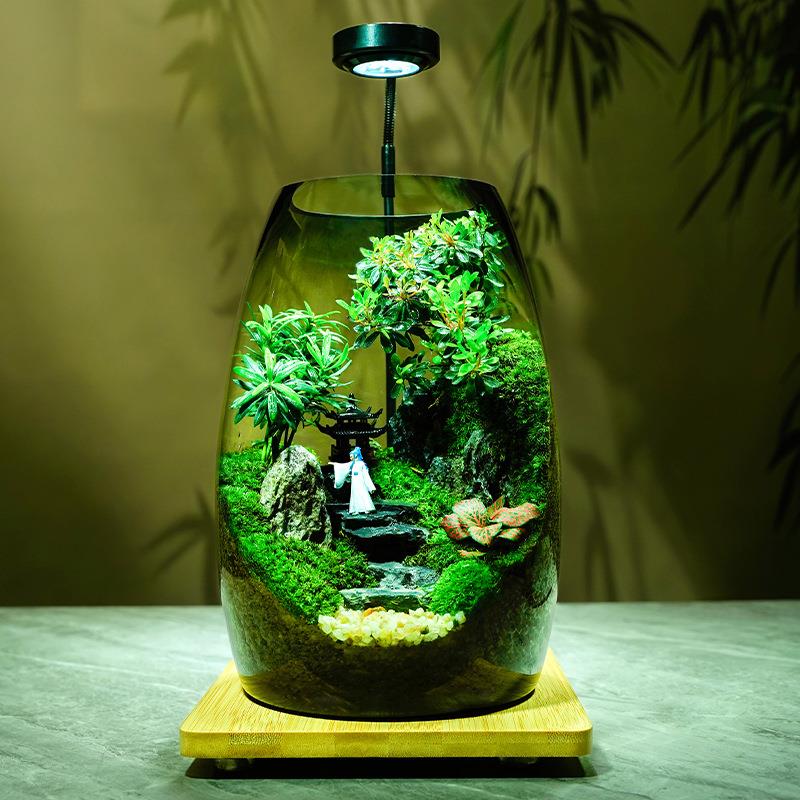 杜鹃亭植物生态桌面创意盆栽好养摆件景观苔藓办公室造景绿植盆景