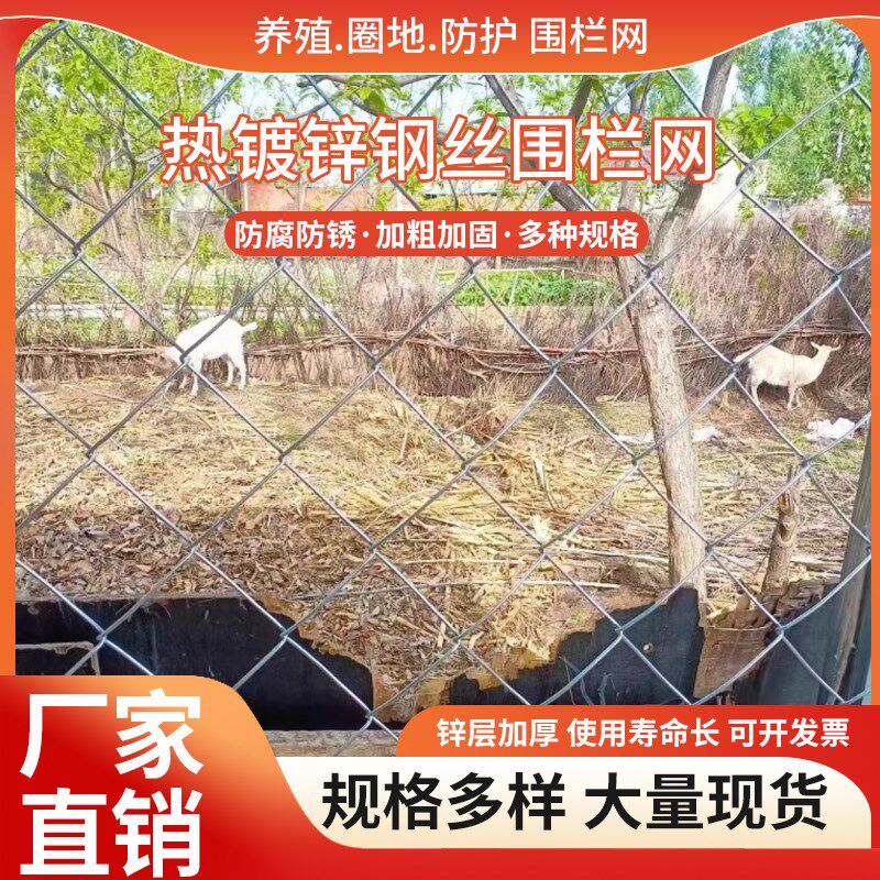钢丝网围栏养殖勾花网养鸡猪狗网圈