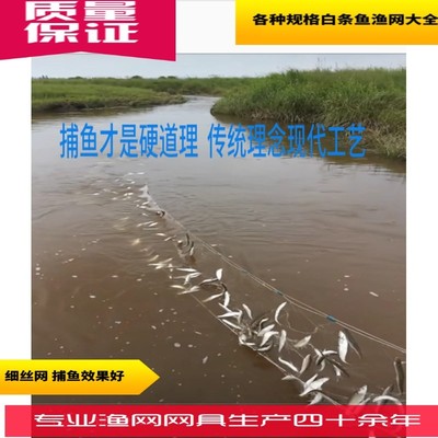 白条鱼网 专用5分6分7分8分9分小鲢子白条餐条川丁鱼粘网铅坠丝网