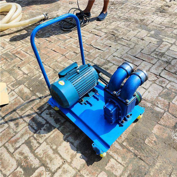 DZI动家用化粪池柴抽机粪油移式吸粪泵养殖场吸污泵3寸污水泵