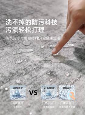 地毯客厅洗新款轻奢灰色免可擦祁桦制造室床边地感垫极卧简沙发毯