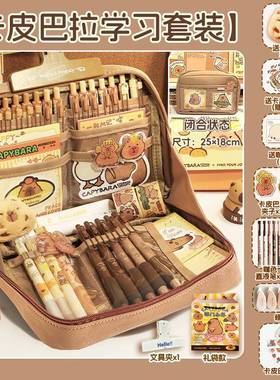 大容量卡皮巴拉笔20袋VOR25年新款初中男学孩款女孩小生文袋铅笔