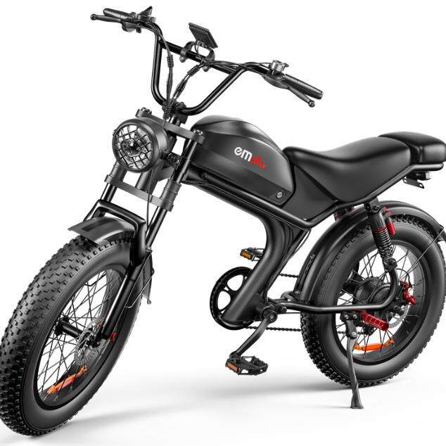 20寸胖胎 C93雪地两轮电动助力自行车长续航 Ebike 海外仓分销