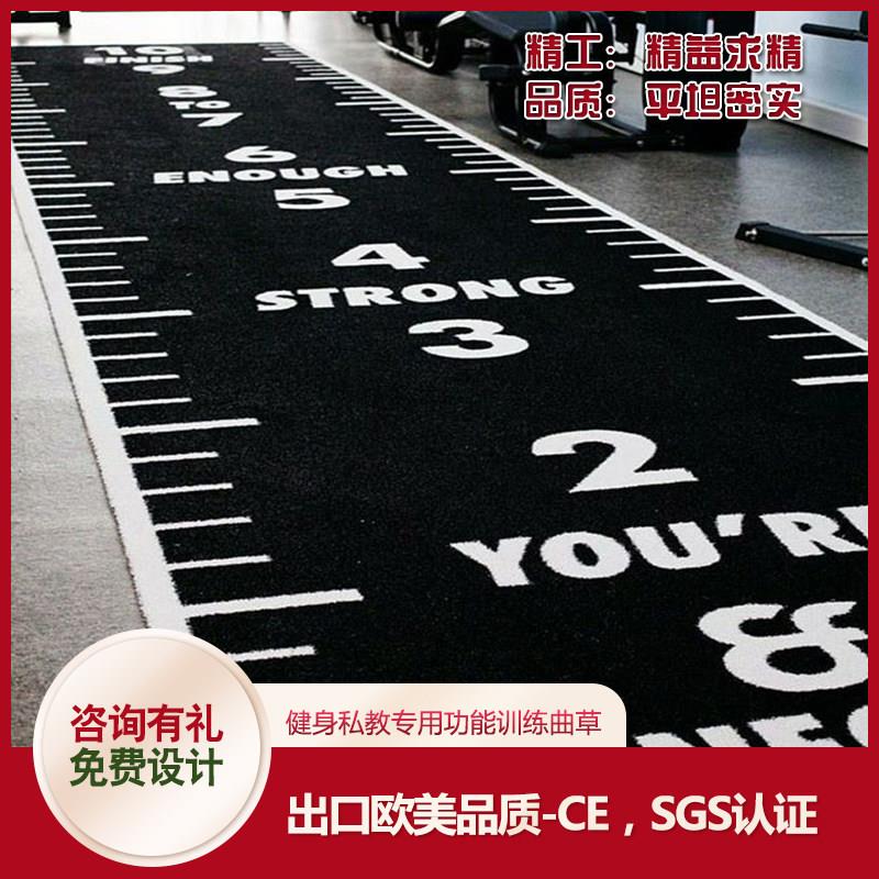 健身房草坪雪橇车道定制私教工作室人工草坪地垫地毯专业厂家直销