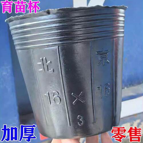 加厚营养钵一次性育苗杯育苗袋防老化育苗袋防老化大号黑色育苗盆