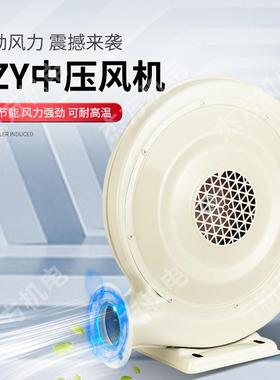 厂家ZCR2彩50W壳49220V铁鼓风机中压吹风虹门鼓风机大风量铜线