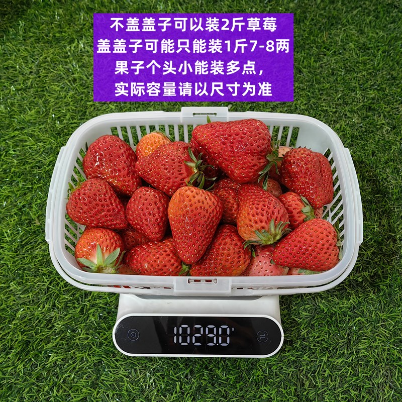 2斤装塑料水果篮子带盖子草莓篮杨梅篮桑葚篮樱桃小篮子方蓝手提