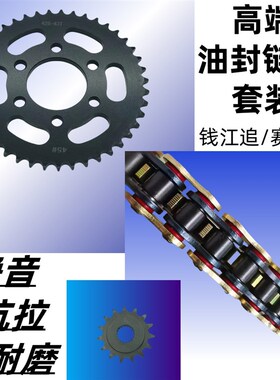 适用钱江追150赛150 QJ150-31B-29F牙盘链盘链轮套链静音油封链条