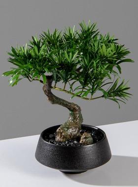 新仿真迎客绿植盆景中式日式案几书房茶摆室书法松桌洽HY1734谈桌