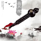 葫芦丝乐型器初KPA学入门业小生C调专演奏成人降B调防摔学胶木葫