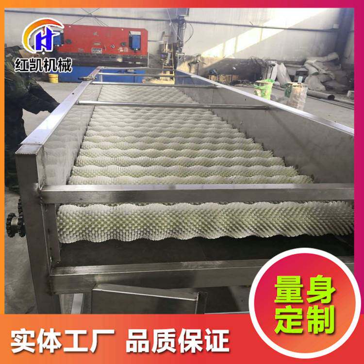 大连生蚝牡蛎清洗机 美贝水循环毛辊清洗机 贝壳类用毛刷清洗机