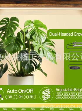 铁双层角生落JDJ植灯物架金属花盆支架带艺植物长可做小边桌绿植