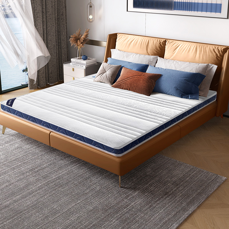 天坛棕垫椰棕床垫3e环保1米2家用1.5薄硬护脊1.8儿童天然棕榈床垫