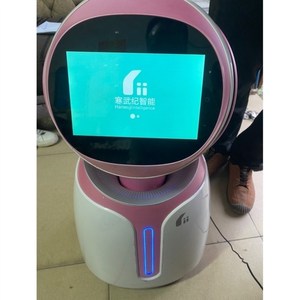 议价寒武纪小武机器人,之前店内展示用机,自定义,可以开机