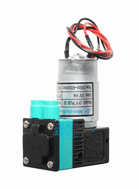 JYY*PUB-30墨泵 7W 2V/UV大墨泵 UV平板机隔膜泵液泵