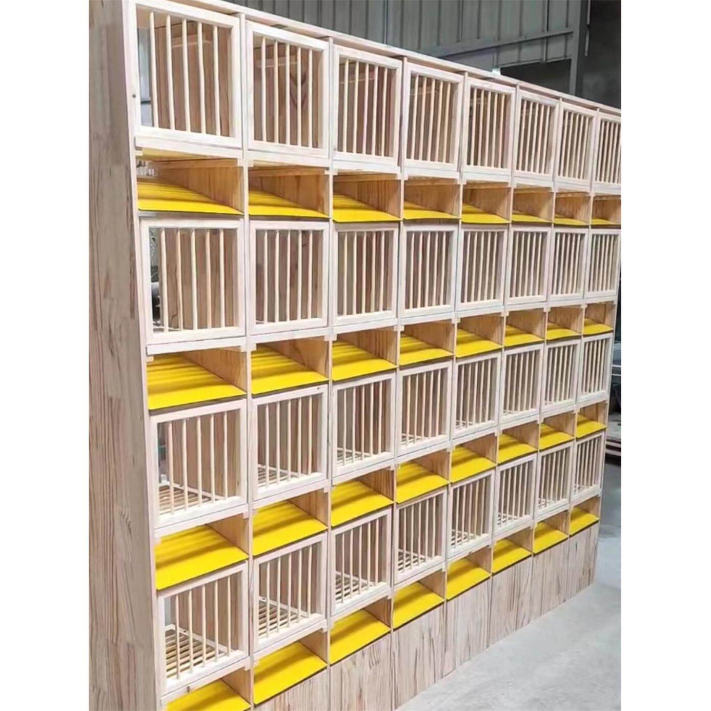 采购产品赛鸽组合,飞巢箱,信鸽实木组合,赛鸽飞笼,防水抽粪,