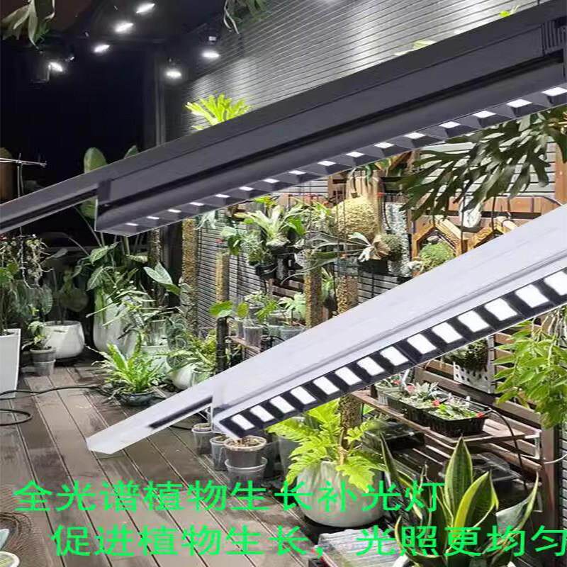 植物生长灯全光谱多肉补光灯上色室内蝴蝶兰鹿角蕨补光灯led