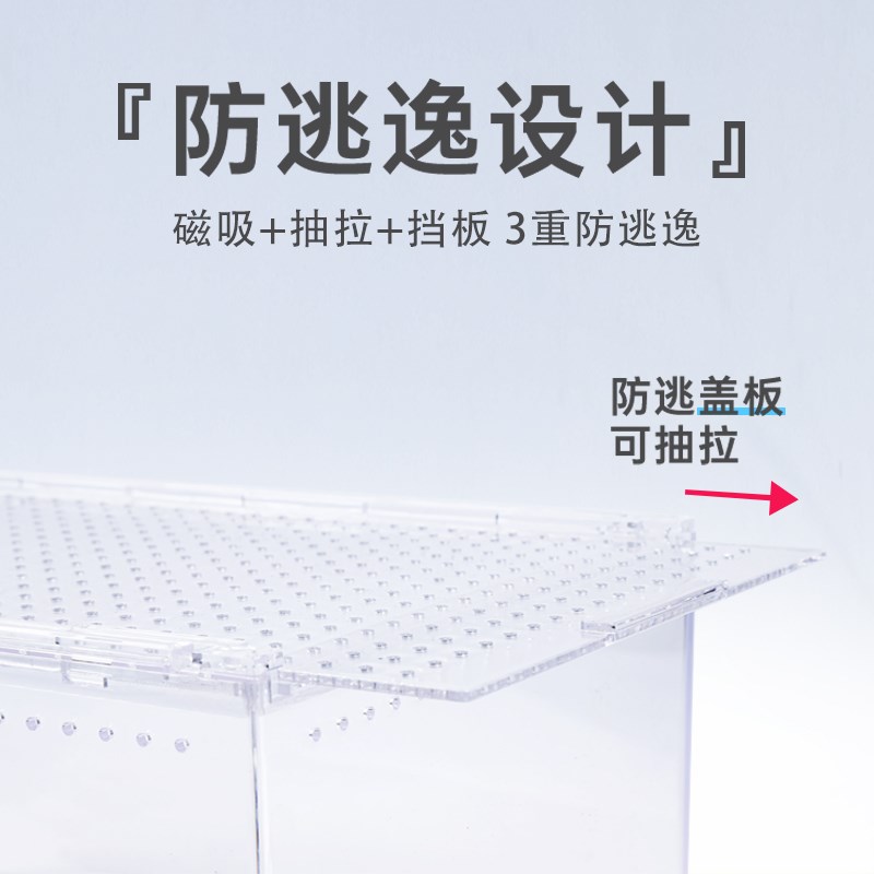 寄居蟹生态缸亚克力爬宠饲养箱雨林造景守宫宠物蛇角蛙两栖水陆缸