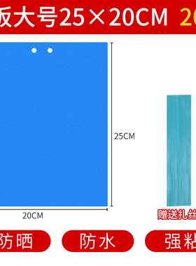 蓝色大尺寸黄板双面诱虫板粘虫板果园小黑飞小飞虫蓟马农用大棚