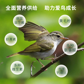 开元 红子贝子鸟粮 牌柳莺鸟食鸟饲料柳串儿鸟粮1斤粉面食粮桶装