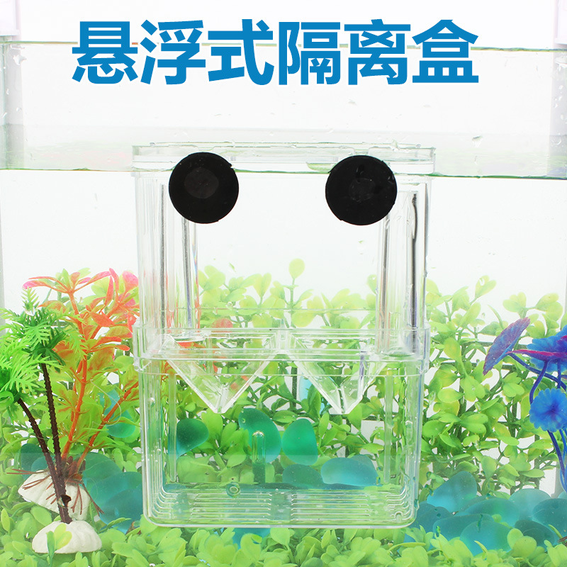 孔雀鱼繁殖盒鱼缸非亚克力隔离盒大号产卵孵化盒产房幼小鱼苗包邮