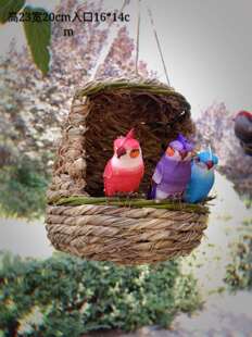 包邮鸟窝挂窝户外鸟巢八哥喜鹊斑鸠野鸽子公园庭院小区野鸟栖息窝