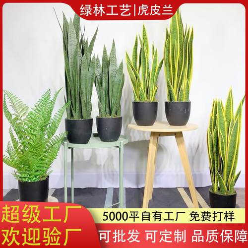 仿真虎皮兰盆景人造绿植外母舌黄边虎皮兰室内外装饰摆件仿真芦荟