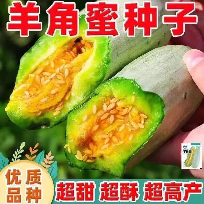 【新品上新】羊角蜜种苗羊角蜜甜瓜苗瓜种苗秧苗薄皮酥脆瓜苗JM