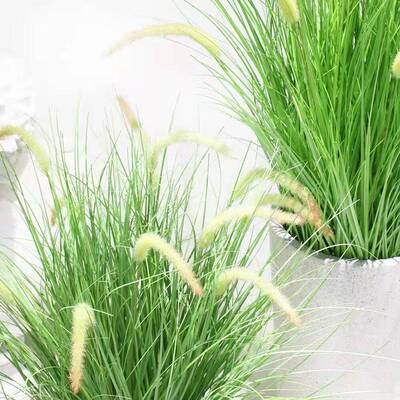 仿真芦苇蒲苇草CH-lvc03栽盆婚庆家居装干饰摆狗尾巴草仿真花件落