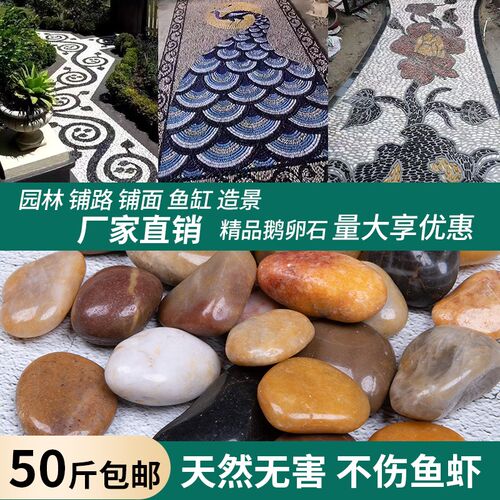 50斤鹅卵石铺路铺地庭院花园艺造景观装饰天然大小鹅软石头雨花石