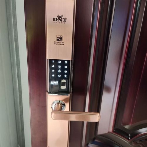 帝尼特H23半导体指纹锁DNT密码锁自动下滑通配型防盗门指纹锁