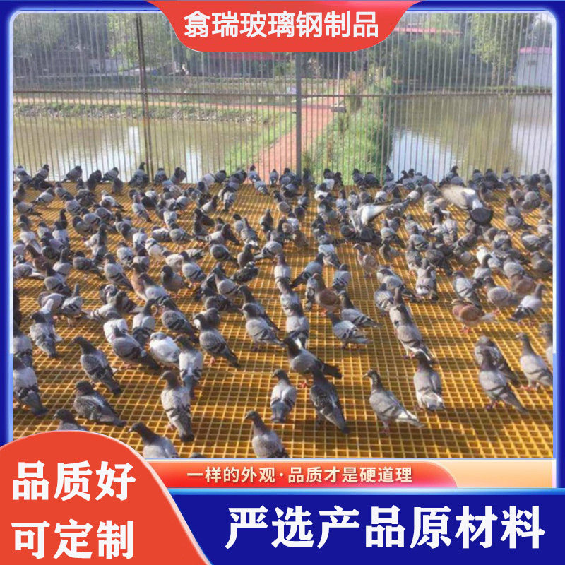 玻璃纤维鸽舍地网网格格栅板家用鸭舍赛鸽养殖漏粪地格栅鸽棚