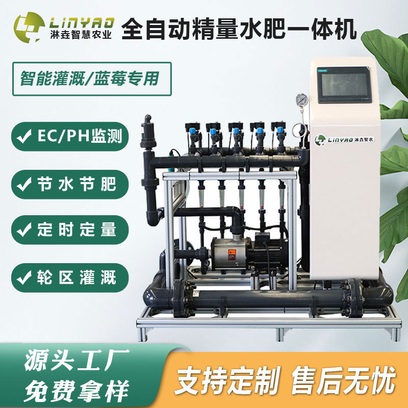 蓝莓精量水肥一体机 全智能蔬菜高标准滴灌全自动水肥一体化设备