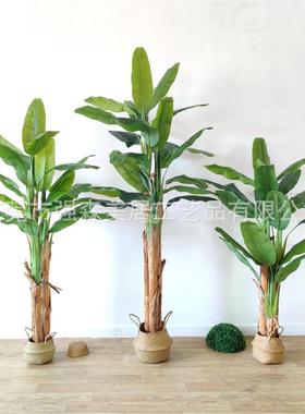 真芭蕉树绿植大型落香饰蕉树仿盆地栽室内庭院装摆放造93194景假树
