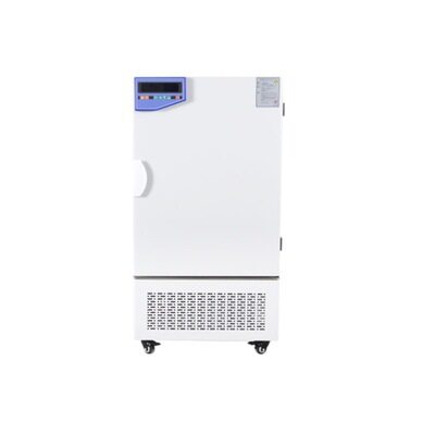 慧泰150N人工气候箱50℃