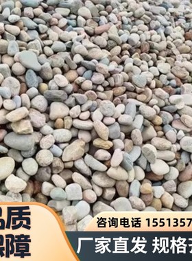 广东造景园艺超大鹅卵石河卵石石头原石踏步石园林溪流石变电压站