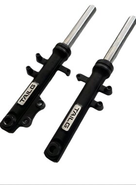 台铃电动车X3EB小炫鹰小豹子星途可炫可胜星河EB前减震器前叉总成