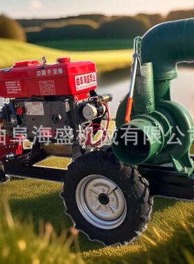 工程排污水泵加厚壳8IPE寸压井涝式离心柴泵油抽水泵机泵组