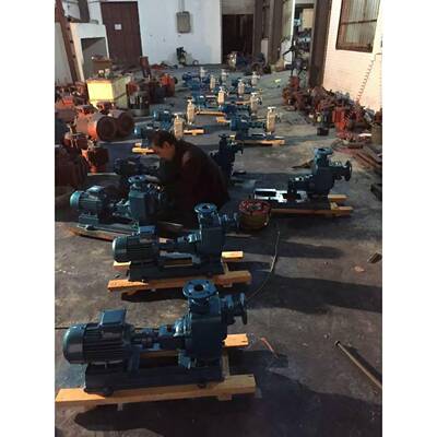 10无品牌/-0无排ZW10020自吸堵塞污泵