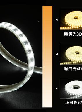 FSdL灯带le客厅吊顶用装饰超亮2835LED灯家条220v光带线条线灯