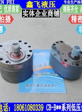 TXLB-B16B20B25B3齿2B40B50B63FUVB0B100B125轮油泵HYX8CB