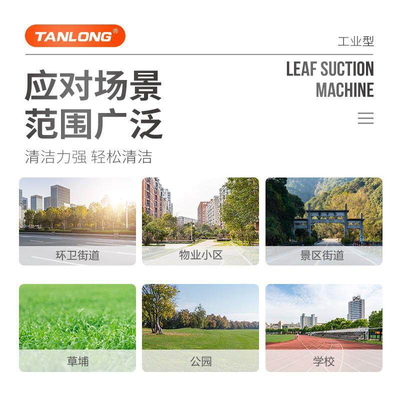 坦龙T80SY燃油式590电动吸树叶机收小区物业树叶集器树启叶清扫机