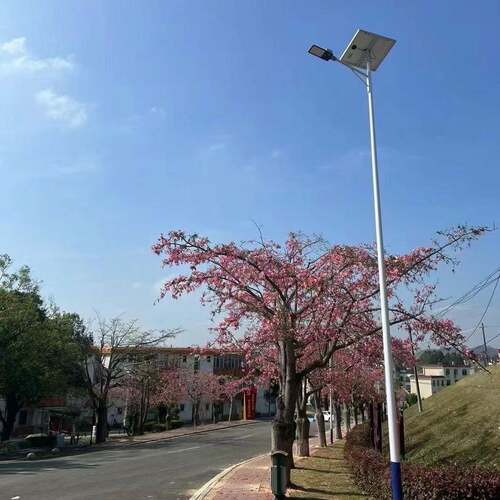 新农村5米米米8米太阳能路灯一体化7户外防水锂电L路E6D太阳能路