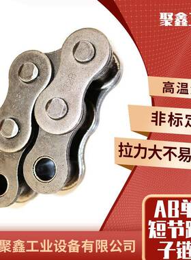 业机械输送机单排双工链排链A系列12ATPY10A精密滚子条传动条